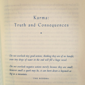 Buddha Quotes On Karma #2