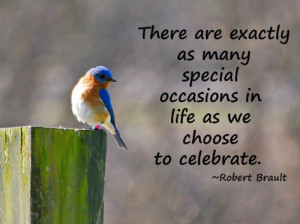 30+ Celebration Quotes And Sayings Funny