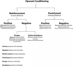 Diagram of operant conditioning