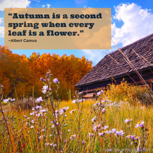 Autumn is a second spring when every leaf is a flower2.”