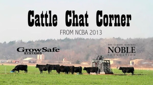 Cattle Chat Corner at the 2013 National Cattlemen's Beef Association ...