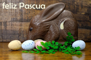 ... Easter 2015 Bunny Images Wish in spanish- Feliz Pascoa 2015 Imagenes