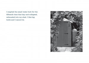 Here are more samples of the book, and the book cover, below: