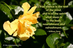 Rest In Peace Quotes And Sayings True silence is the rest of