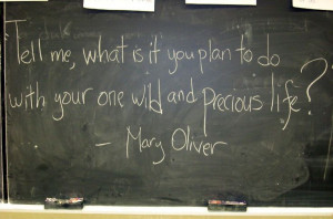 Mary Oliver Quote