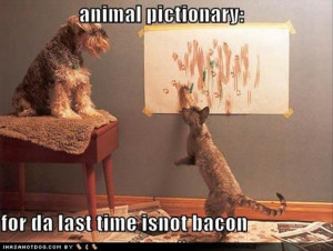 Return to The Best Of BACON (25 Pics)