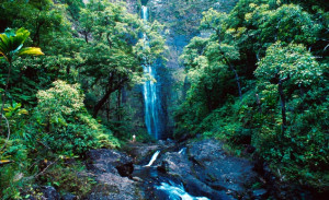 most beautiful tropical waterfall