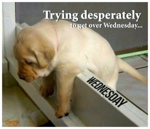 Trying to get over Wednesday