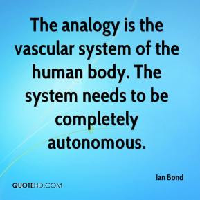 The analogy is the vascular system of the human body. The system needs ...