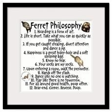Funny Quotes Framed Prints Funny Quotes Framed Posters