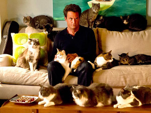 Matthew Perry Stars with Cats on Go On