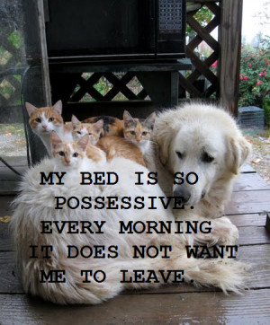 Funny Quotes photo CUTEDOG_zps5b3a6bed.png