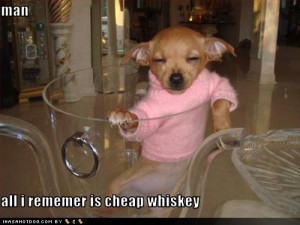 funny-dog-pictures-cheap-whiskey.jpg