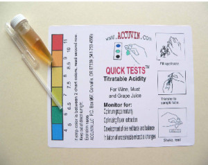 choose wisely indiana jones youtube