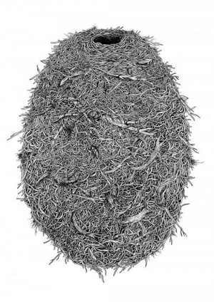 Bird Nest Sketch By Keaton Henson