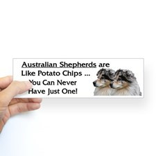 Australian Shepherds - Can't Have Just One for