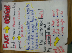 Fact and opinion anchor chart