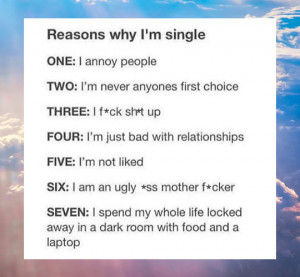 Reasons Why Im Single  Quotes  QuotesGram