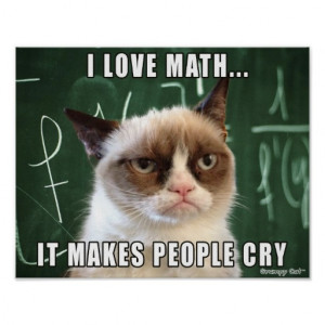 Grumpy Cat Poster- I love math it makes people cry Poster