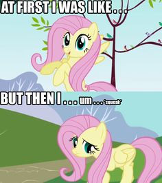 Fluttershy quotes