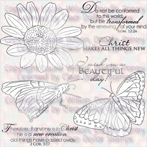 included a picture of the New Butterfly digital set for you.