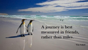 ... is best measured in friends, not in miles.” ~ Tim Cahill #quote