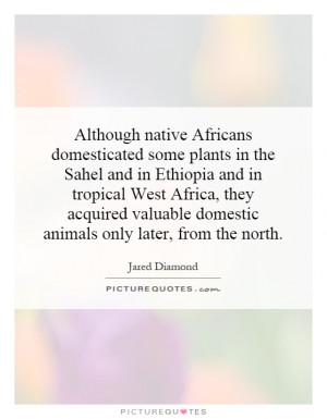 valuable domestic animals only later from the north Picture Quote 1