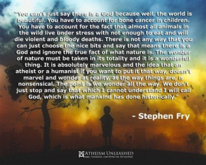 Stephen Fry quote