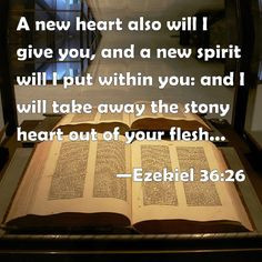 Ezekiel 36:26 More