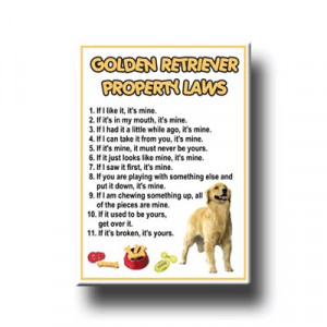 Golden Retriever Property Laws Fridge Magnet