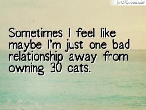 ... feel-like-maybe-im-just-one-bad-relationship-away-from-owning-30-cats