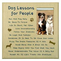 ... dogs lessons life lessons pictures frames dogs scrapbooks dogs life