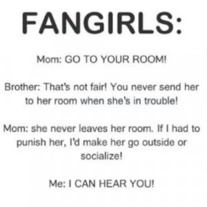 story of my life as a fangirl