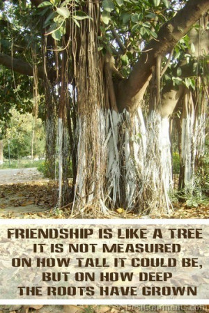 Friendship Is Like A Tree