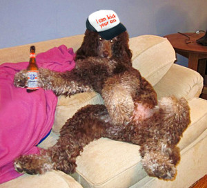 form follows function ~~