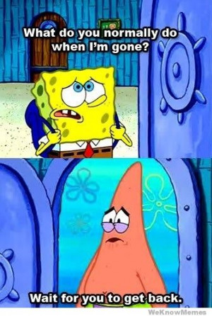 ... you normally do when Im gone? Wait for you to get back Spongebob Meme