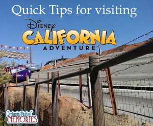 Rides at Disneyland and California Adventure