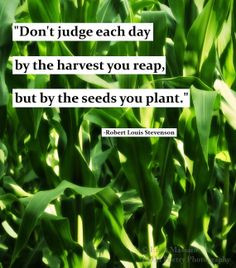 ... Quote | Summer | Inspirational Quotes | Harvest | Country