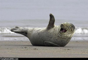 Laughing Out Loud - Return to Funny Animal Pictures Home Page