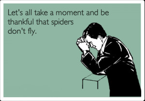 Humorous Quotes With Cartoon Pictures spiders