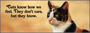 14124-cats-quote.jpg