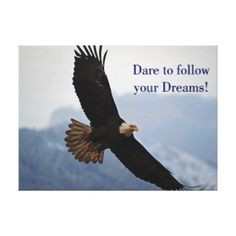 Soaring Bald Eagle Inspirational Quote Stretched Canvas Prints More