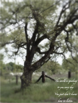 Palermo, Ca Dreamland by Sarah Dessen quote