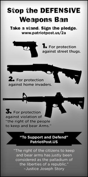 your support for the second amendment sign the 2a pledge