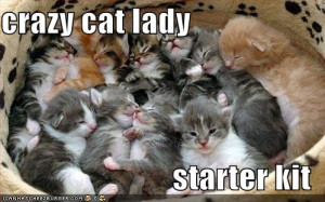 cats - the-crazy-cat-ladies Photo