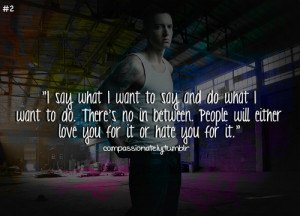 Eminem Quotes About Haters