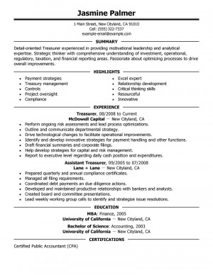 Finance Analyst Resume Example