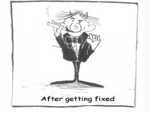 Funny Software Bug Quotes