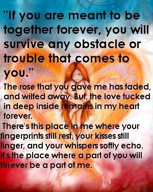 If You Are Meant To Be Together Forever You Will Survive Any Obstacle ...