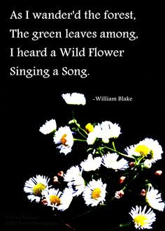 ... Blake Poem | William Blake Quotes | Poetry and Prose | Inspirational